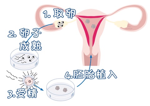 关于安悦佳妇产医院